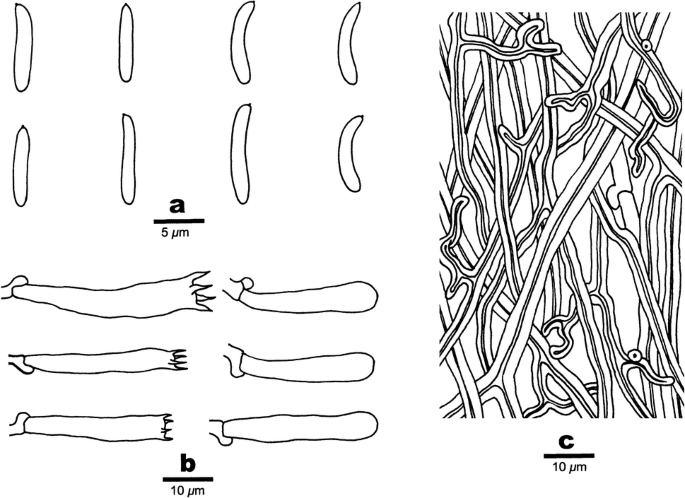 figure 35