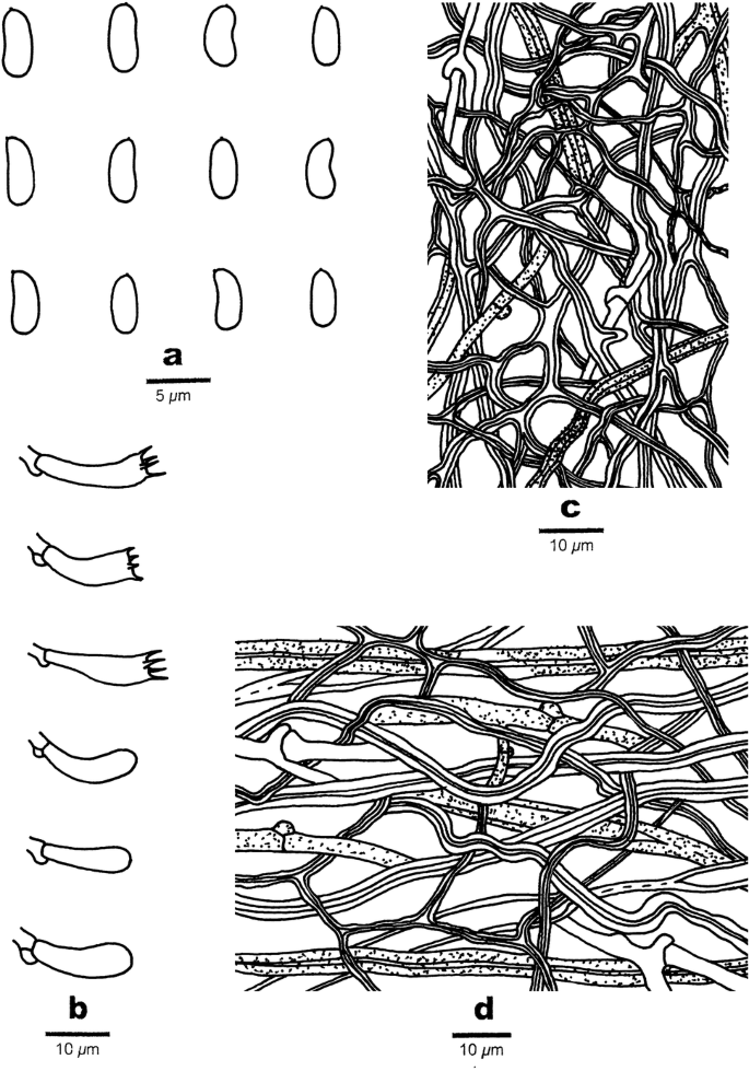 figure 401