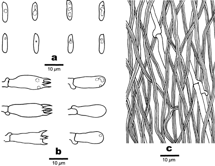 figure 53