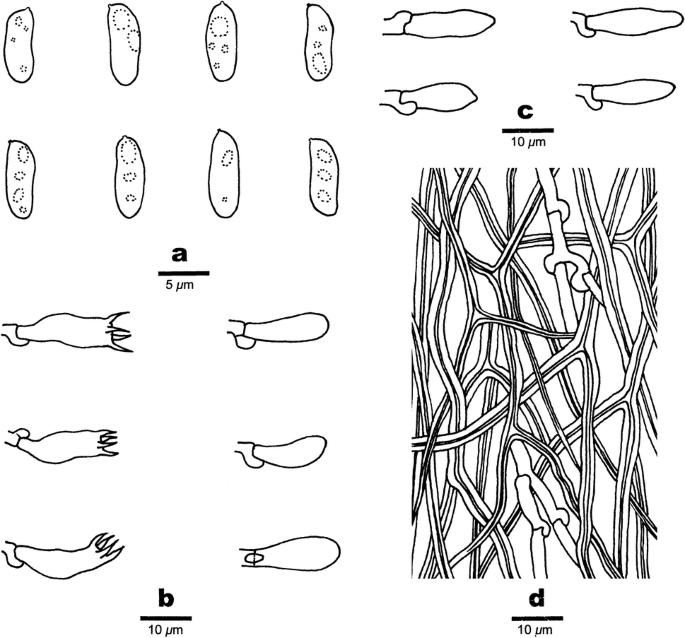 figure 75