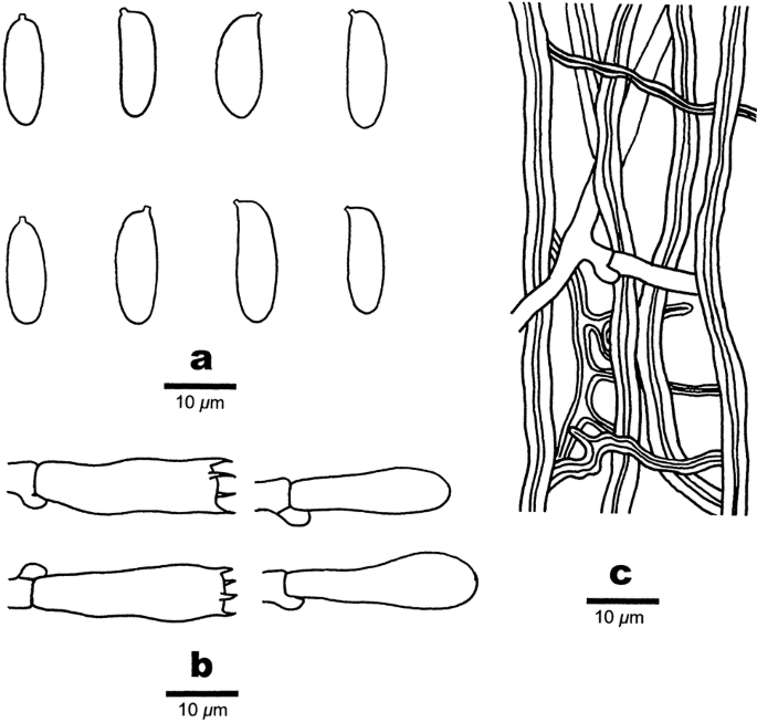 figure 99