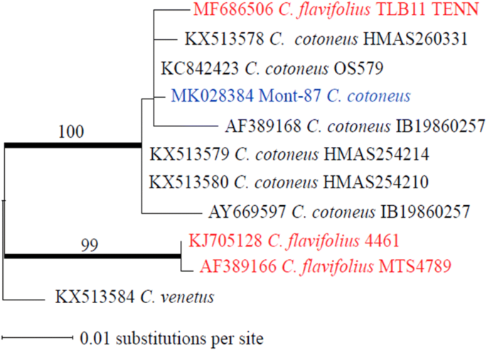 figure 18