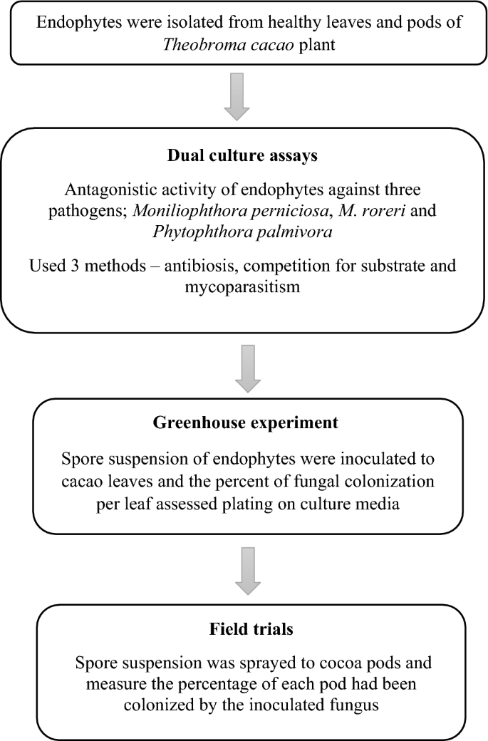 discussion lab report fungi