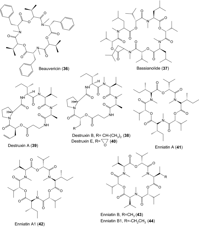 The Amazing Potential Of Fungi 50 Ways We Can Exploit Fungi Industrially Springerlink