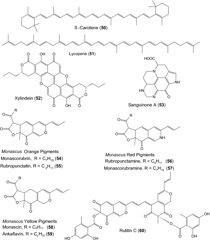 The Amazing Potential Of Fungi 50 Ways We Can Exploit Fungi Industrially Springerlink