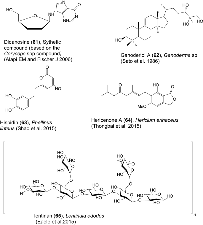 The Amazing Potential Of Fungi 50 Ways We Can Exploit Fungi Industrially Springerlink