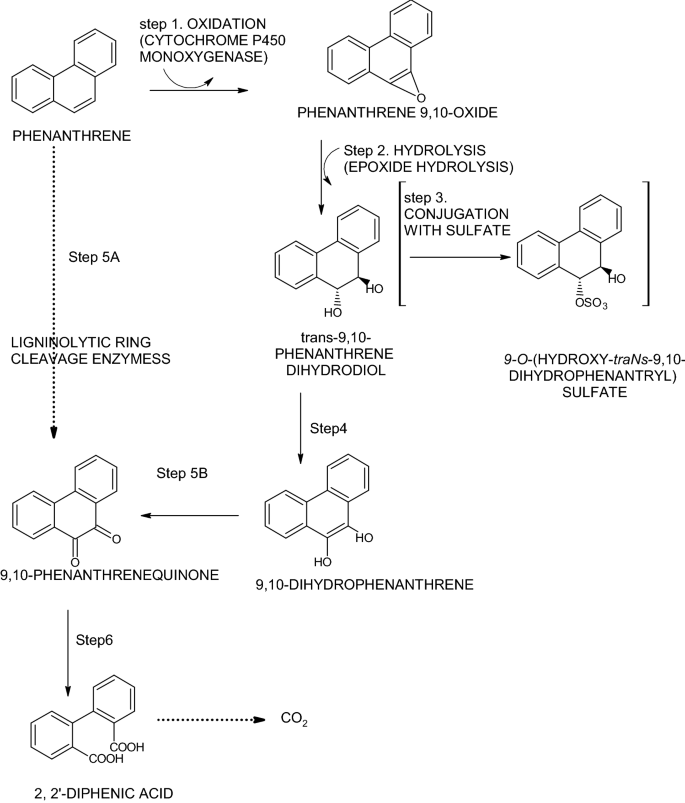 figure 47