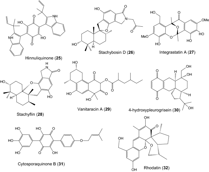 The Amazing Potential Of Fungi 50 Ways We Can Exploit Fungi Industrially Springerlink