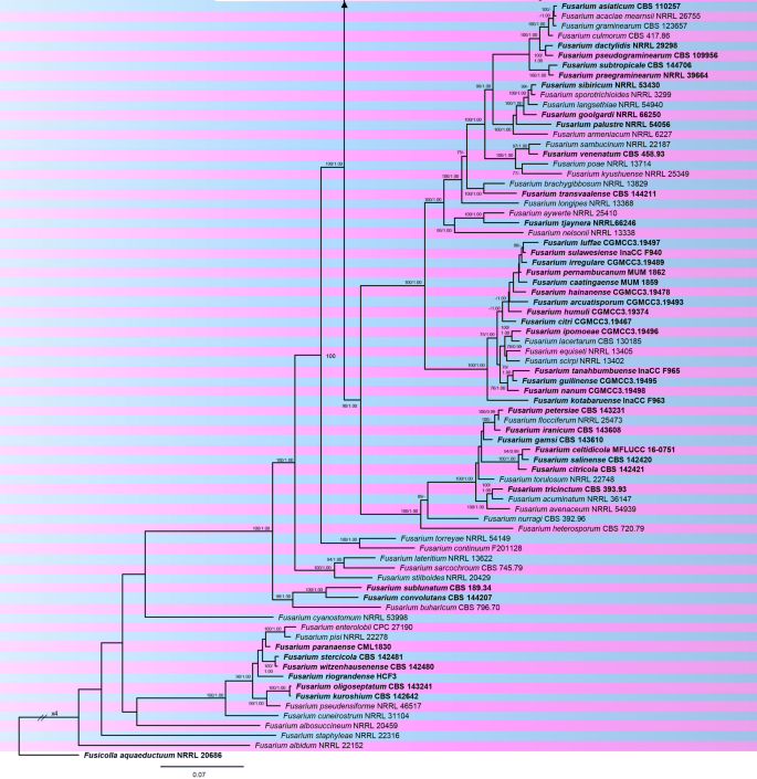 figure 28