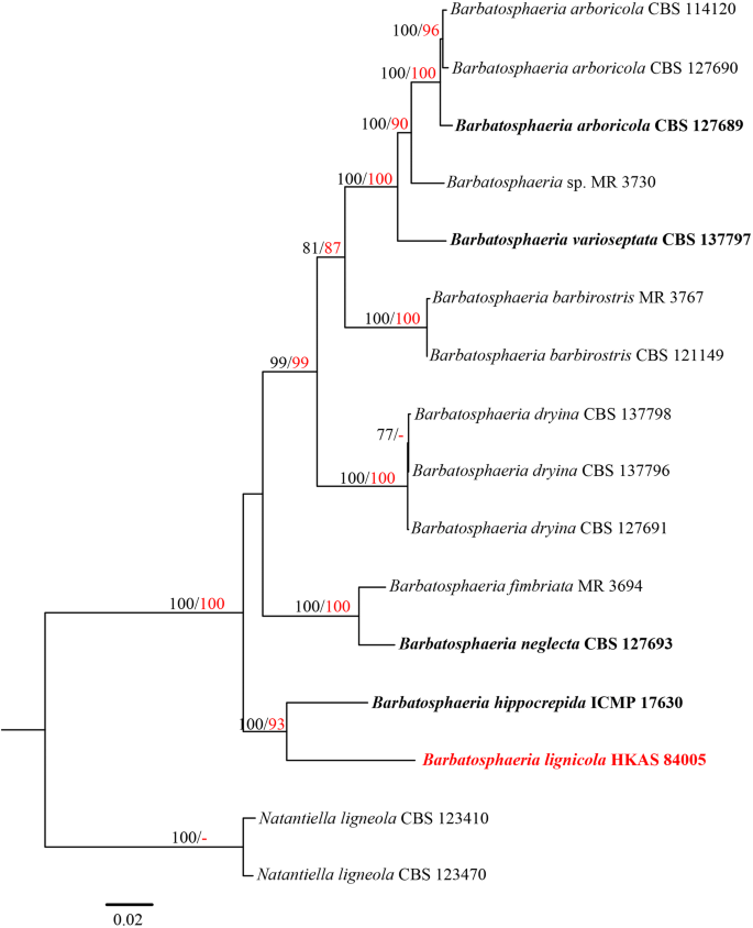 figure 26