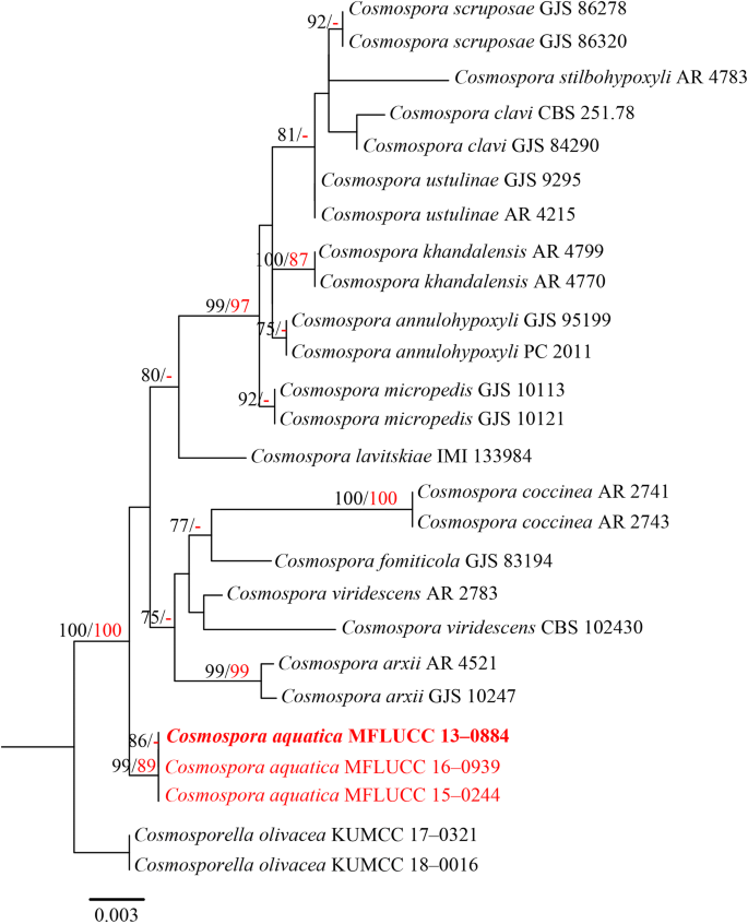 figure 36