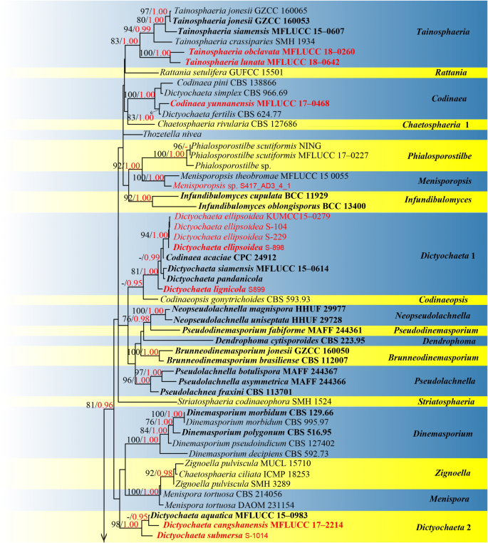 figure 51