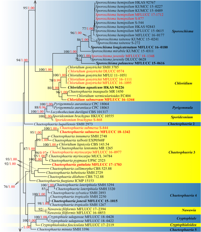 figure 51