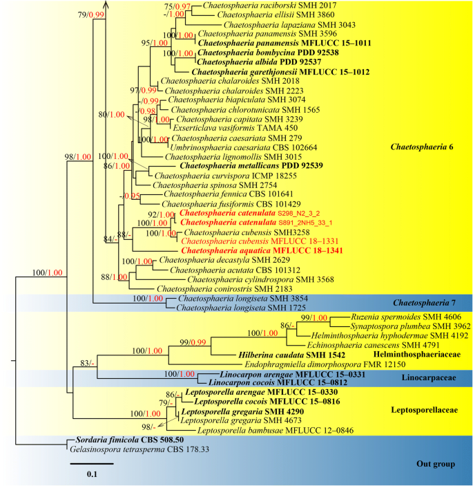 figure 51