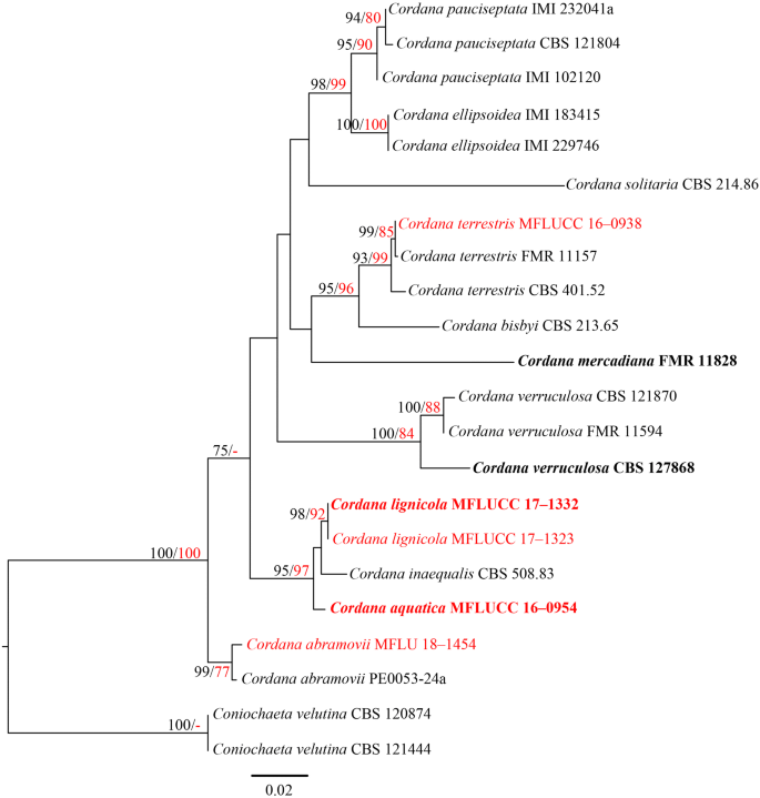 figure 67