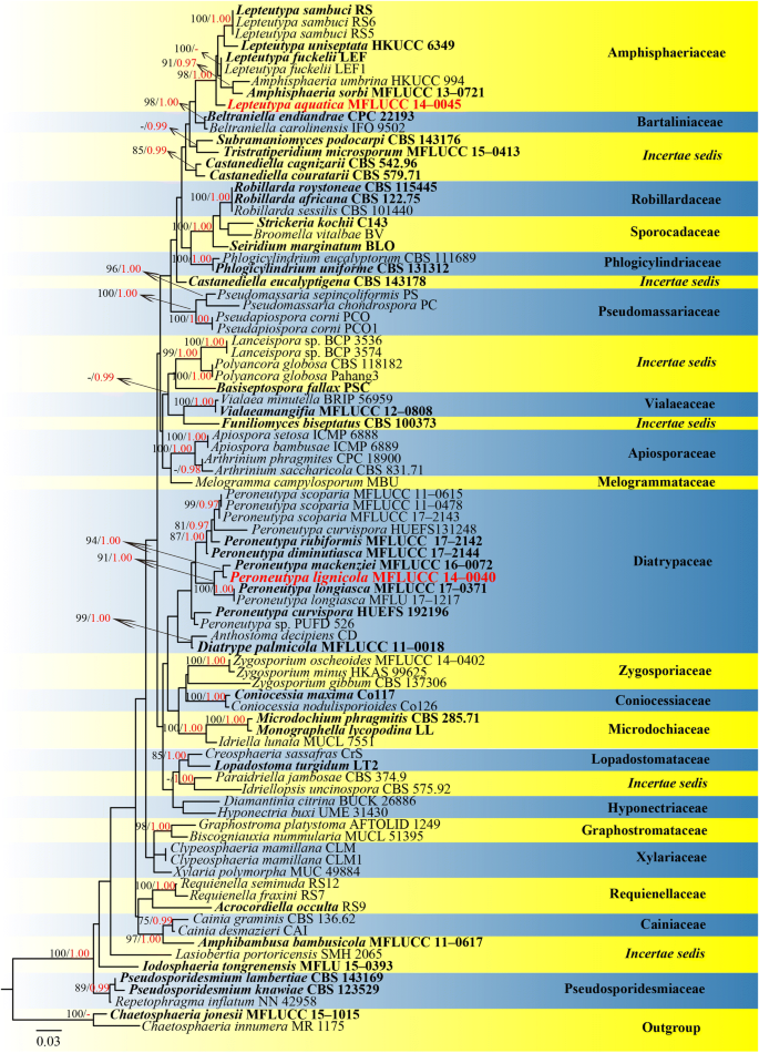 figure 72