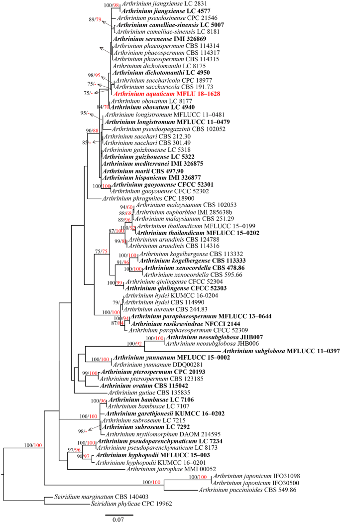 figure 74