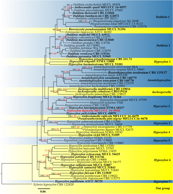 figure 77