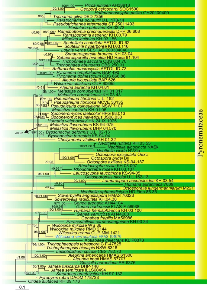 figure 105