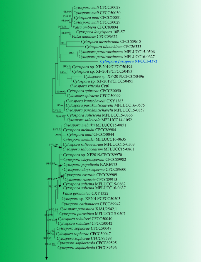 figure 111