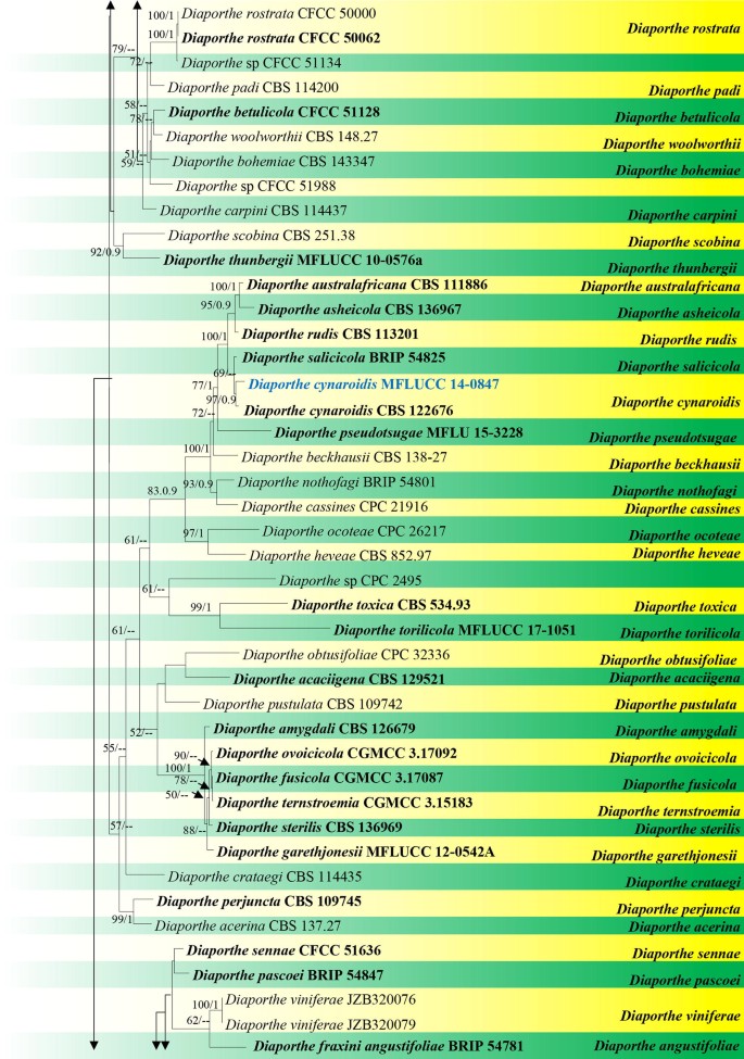 figure 116