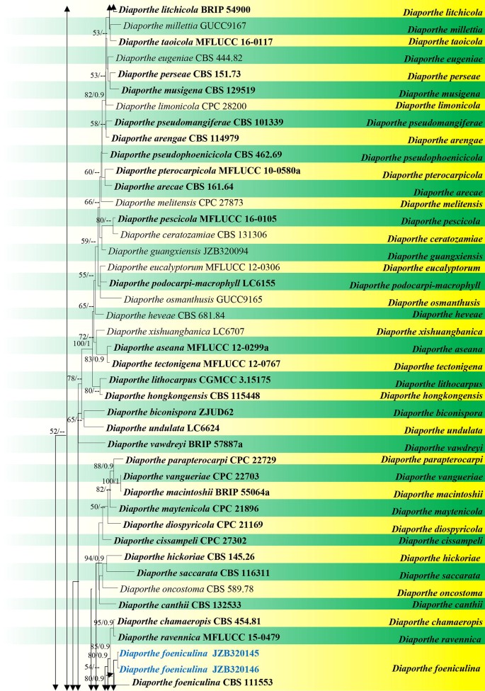 figure 116