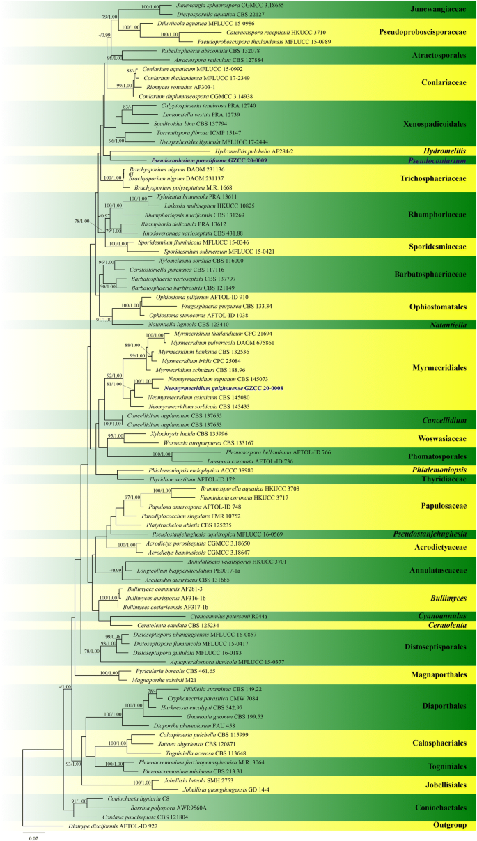 figure 120