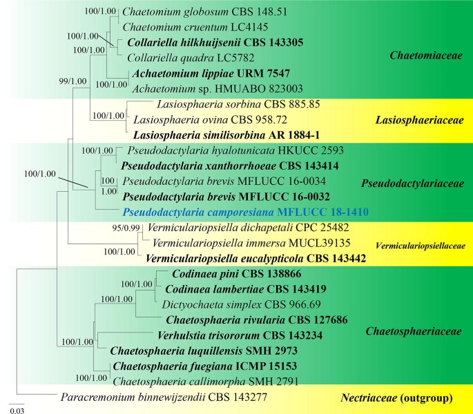 figure 139