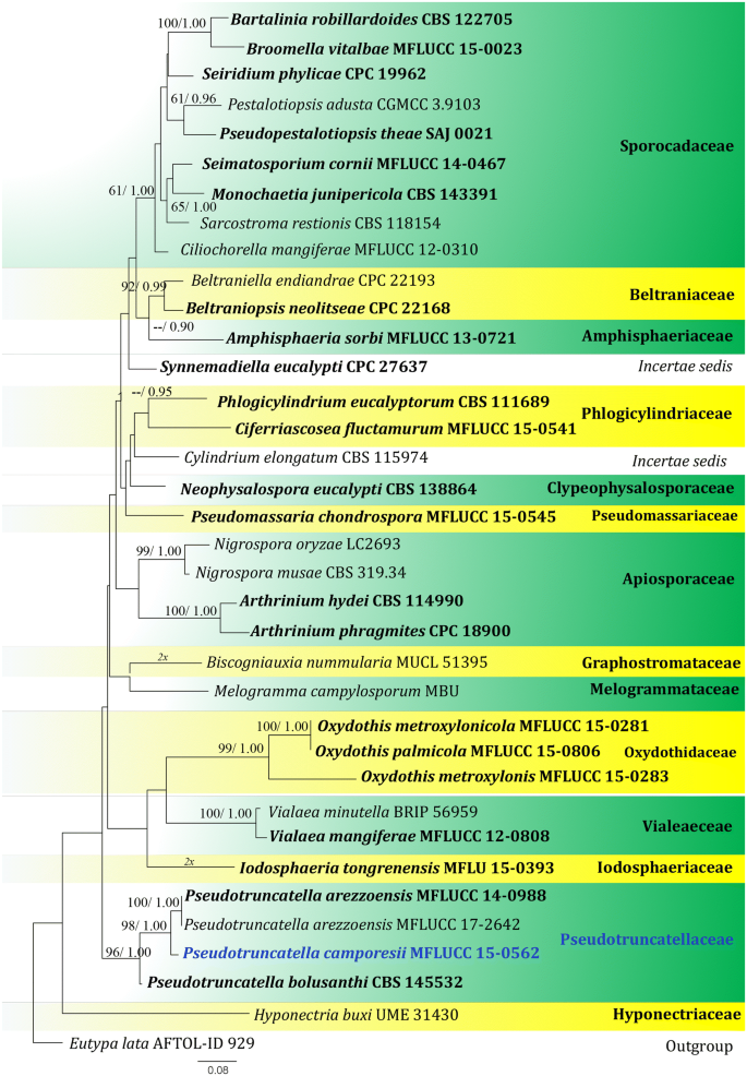 figure 145