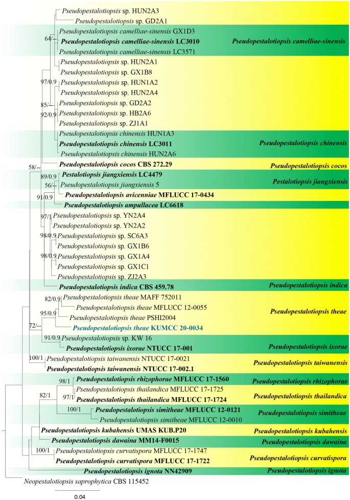 figure 147