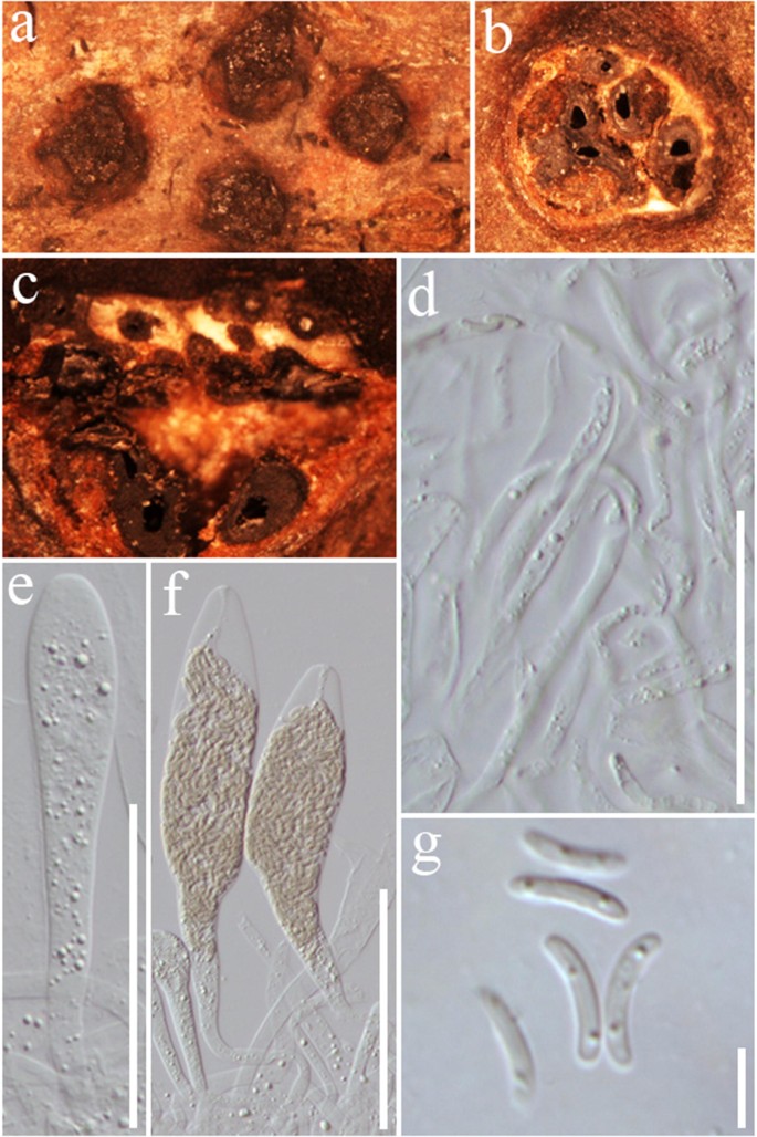 figure 148