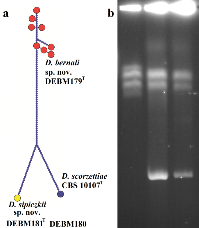 figure 155