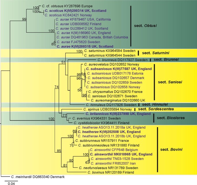 figure 164