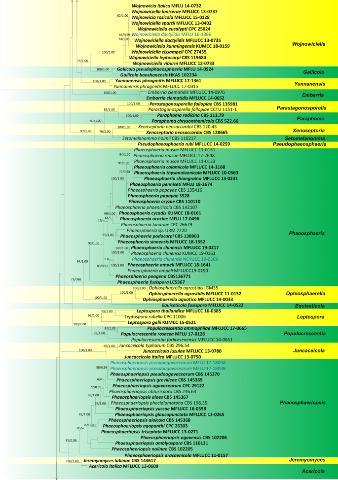 figure 70