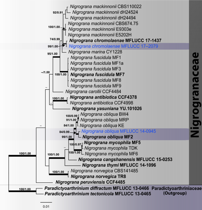 figure 38