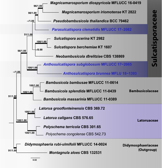 figure 72