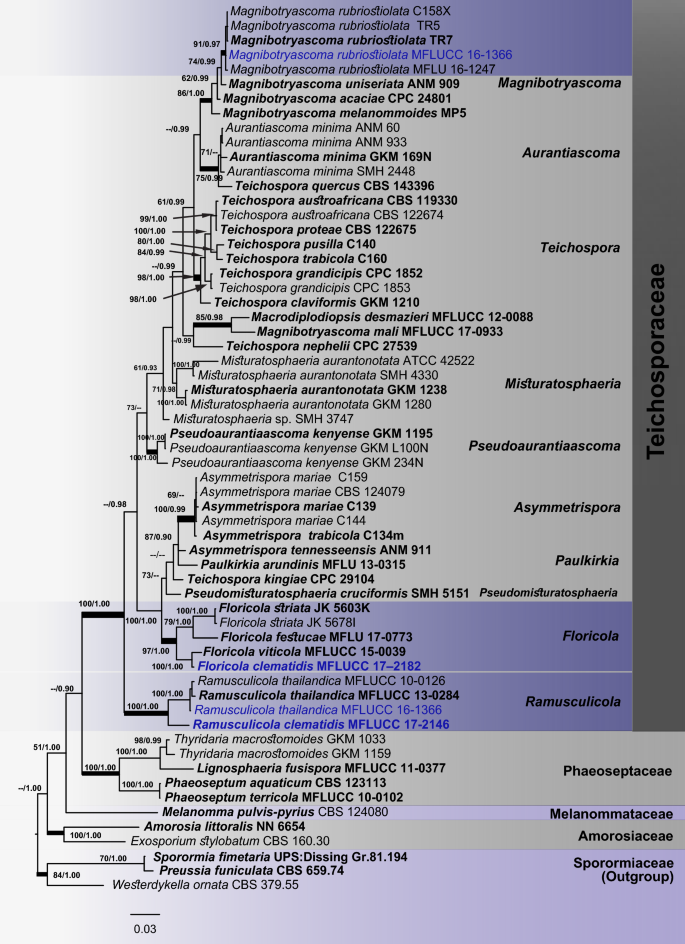 figure 75