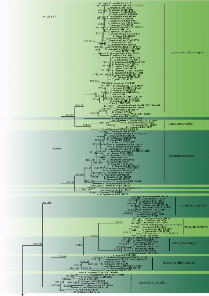 figure 36