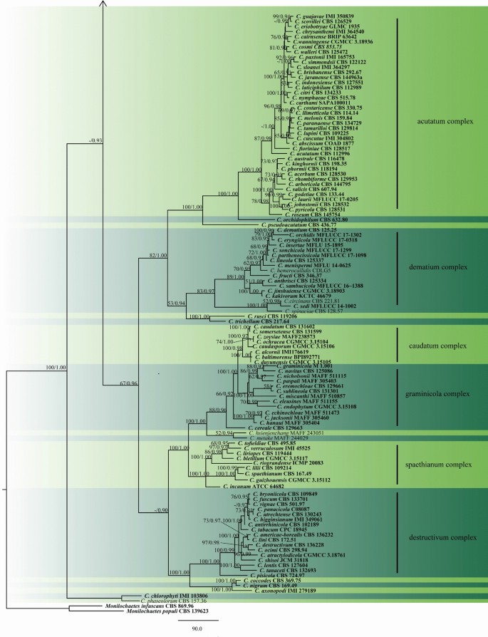 figure 36