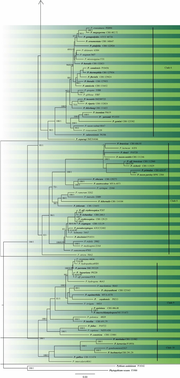 One Stop Shop Iv Taxonomic Update With Molecular Phylogeny For Important Phytopathogenic Genera 76 100 Springerlink