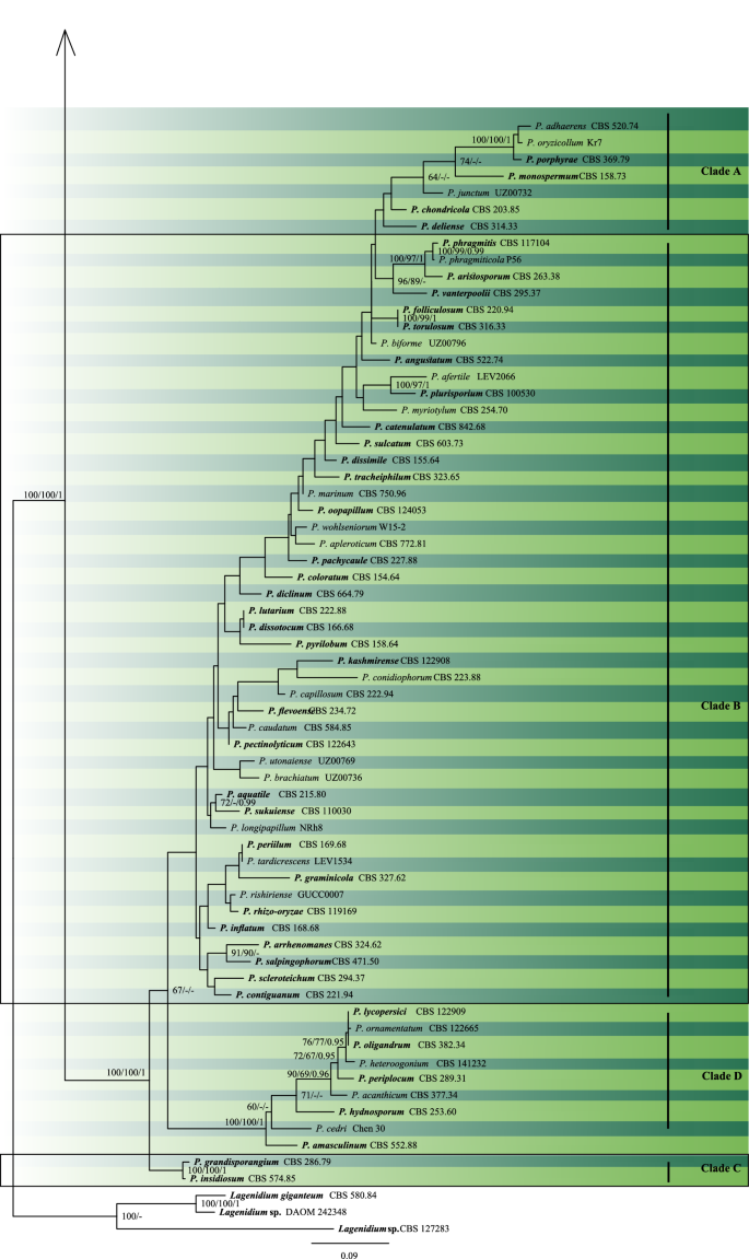 One Stop Shop Iv Taxonomic Update With Molecular Phylogeny For Important Phytopathogenic Genera 76 100 Springerlink