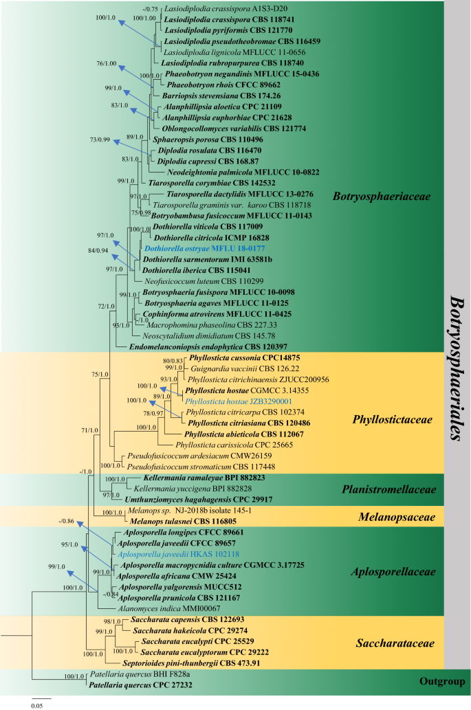 figure 14