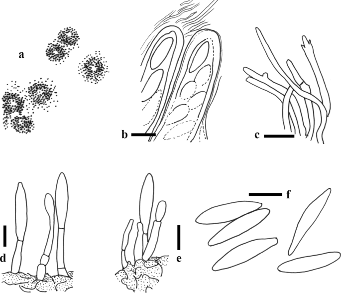 figure 23