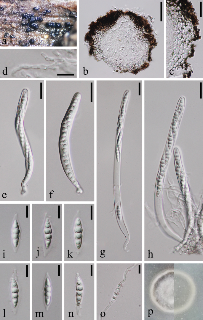 figure 22