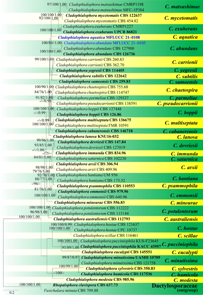 figure 103