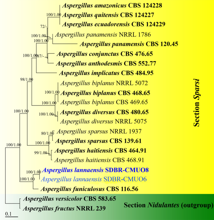 figure 105