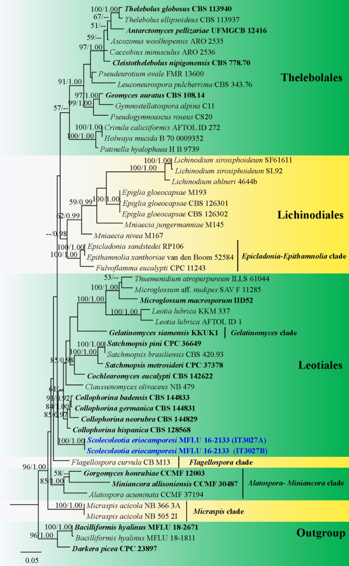 figure 116