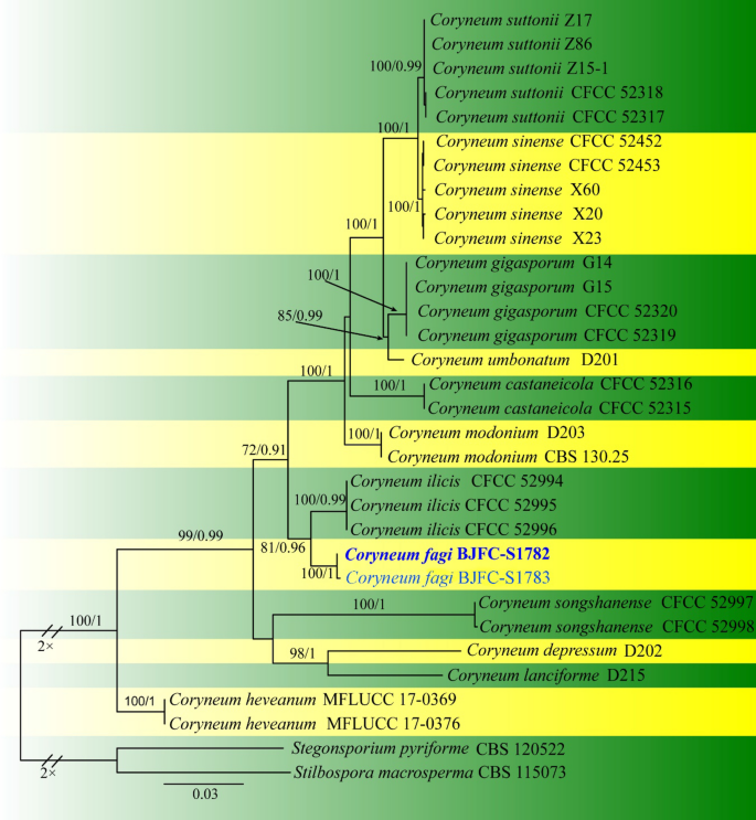 figure 118