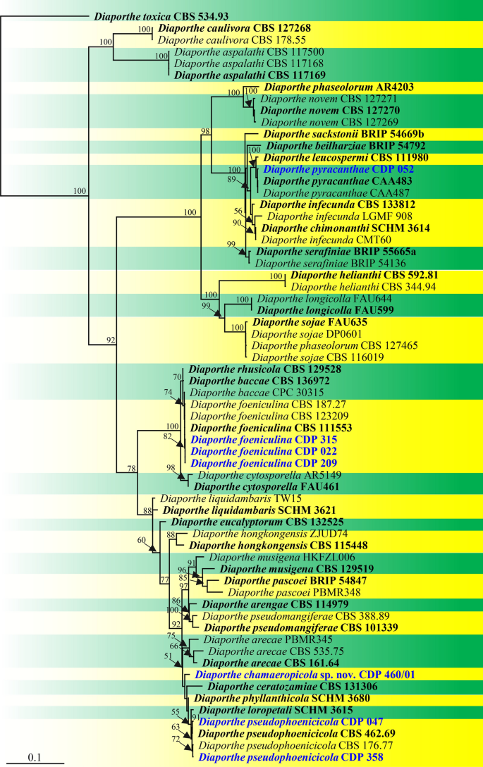 figure 123