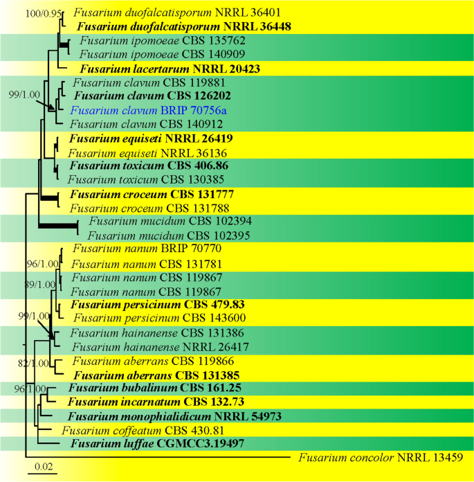 figure 131